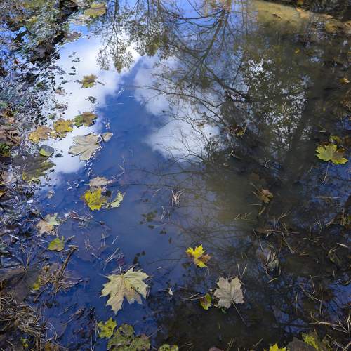 Краски осени в воде