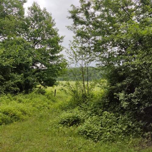 Photo #11220248
