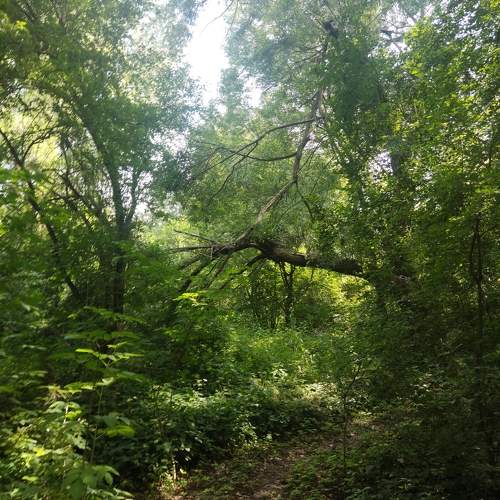 Photo #11220250