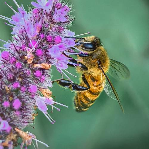 Photo #11220338