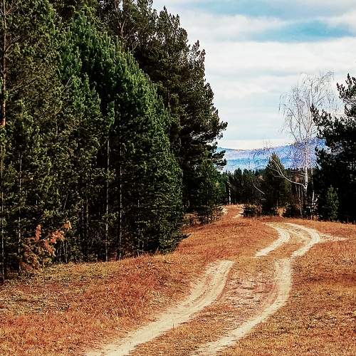 Photo #11220358