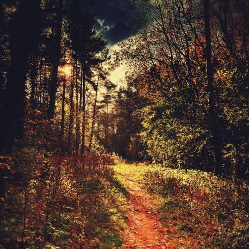 Photo #11220451
