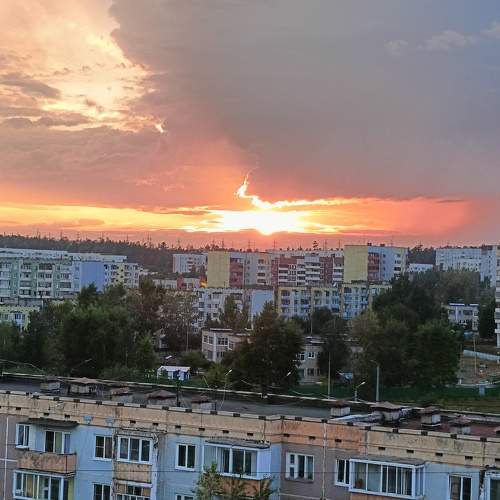 Photo #11220533