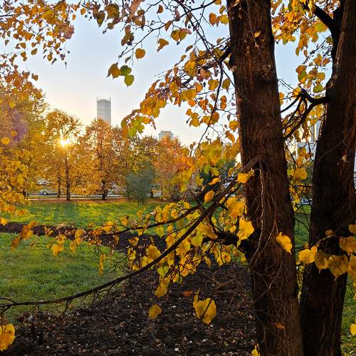Photo #11220610