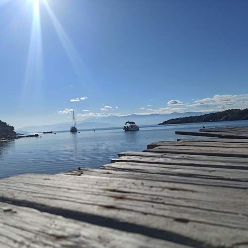 Photo #11220722