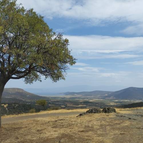 Photo #11220727