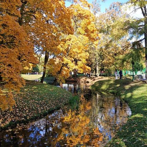 Photo #11220813