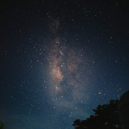 Photo #11220837