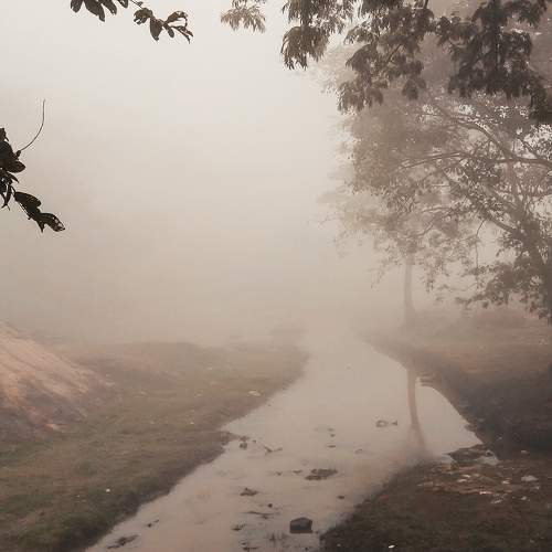 Photo #11220949