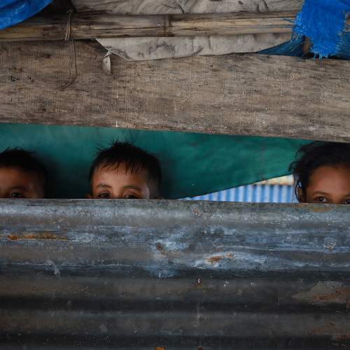 Photo #11220980