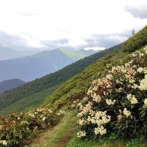 Photo #11221049