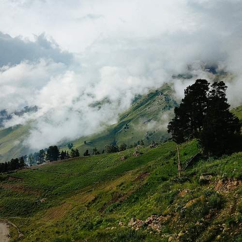 Photo #11221107