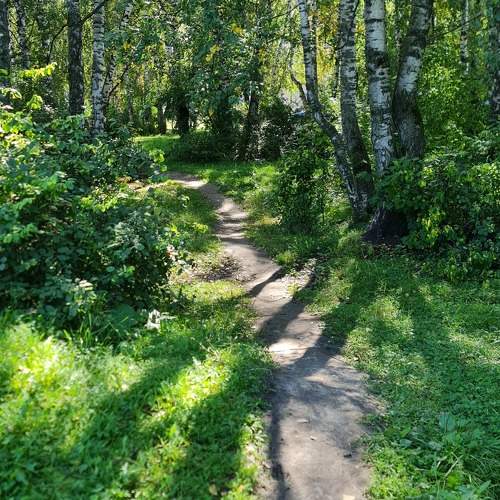 Photo #11221147