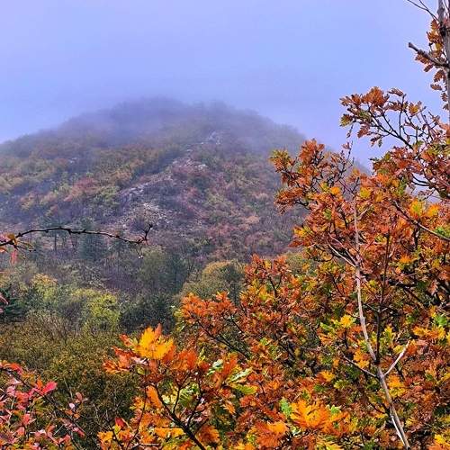 Photo #11221248