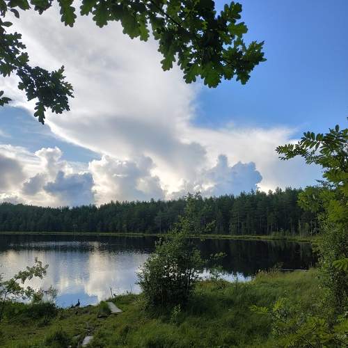 Photo #11221284