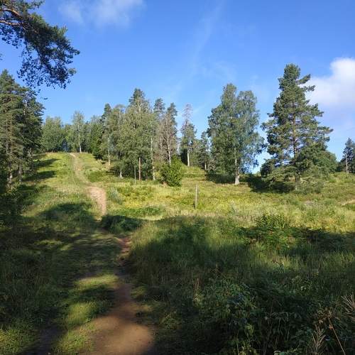 Photo #11221294