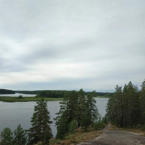 Photo #11221453