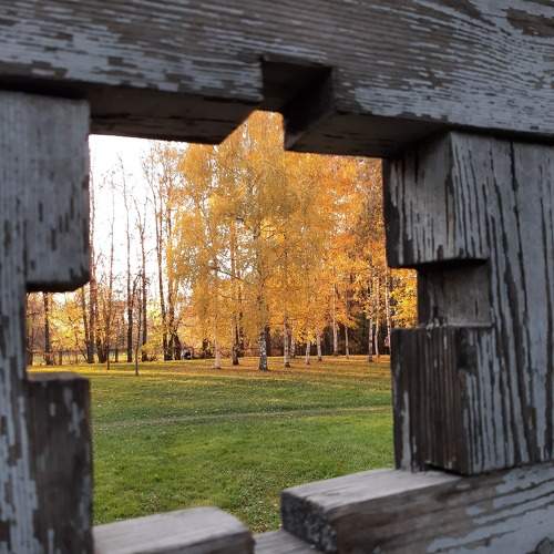 Window to autumn