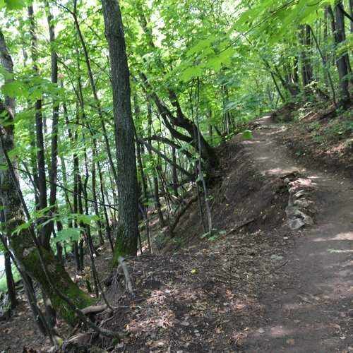 Photo #11221548