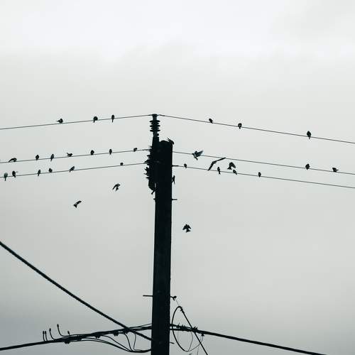 Photo #11221552