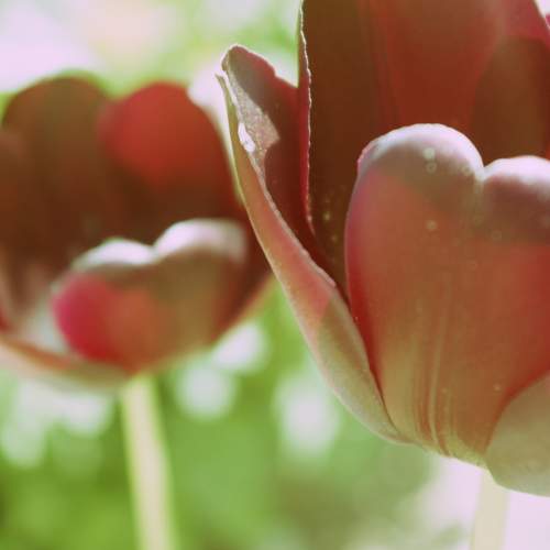 Photo #11221665