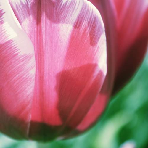 Photo #11221677
