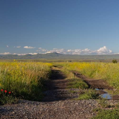 Photo #11221705