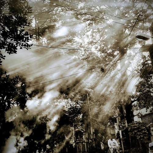 Photo #11221712