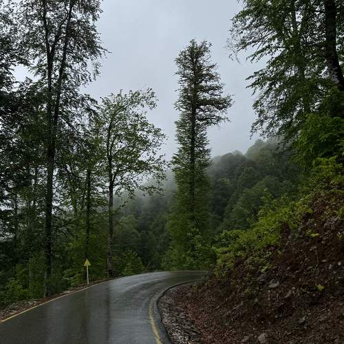 Photo #11221732