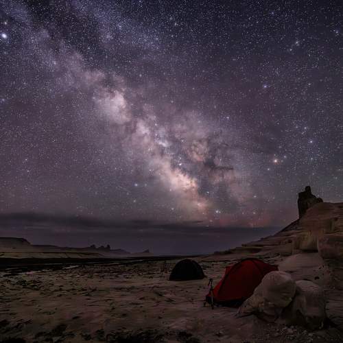 Фотография #11221749