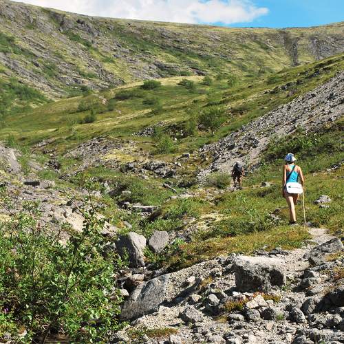 Photo #11221799