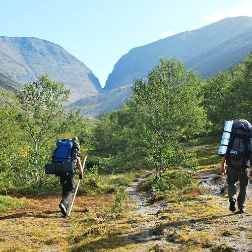 Photo #11221801