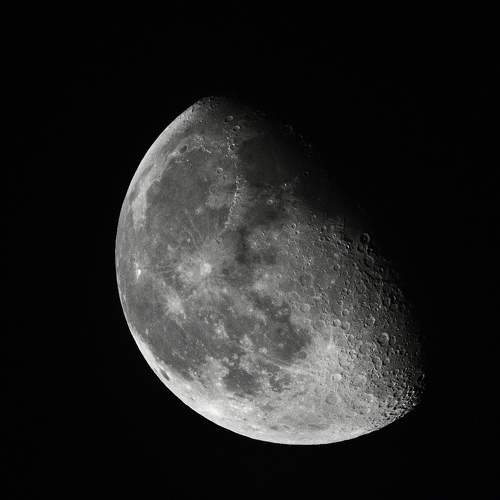 Photo #11221902