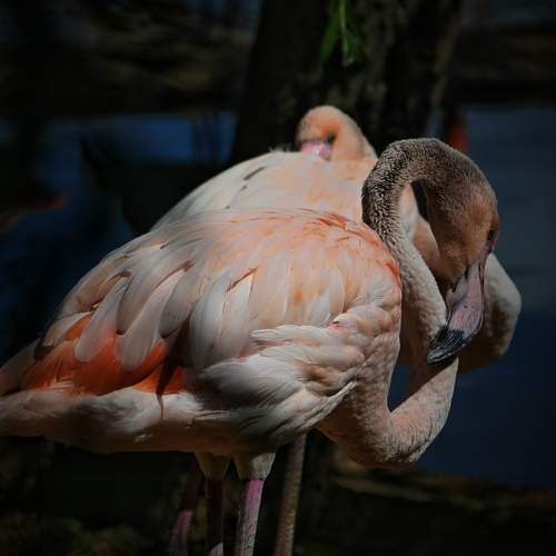 Photo #11221905