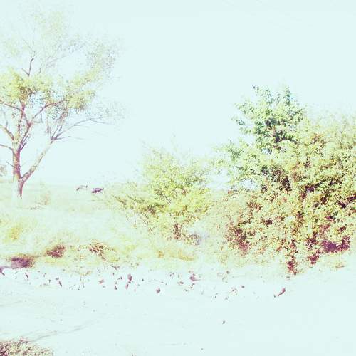 Photo #11221943