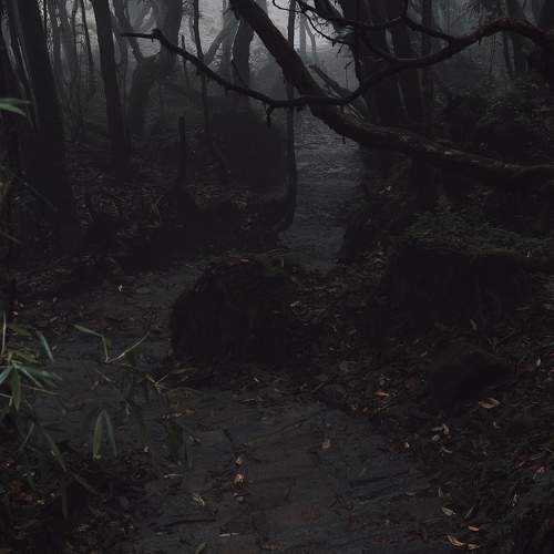 Photo #11221960
