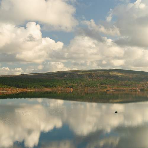 Photo #11222034