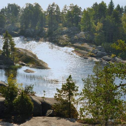 Photo #11222047