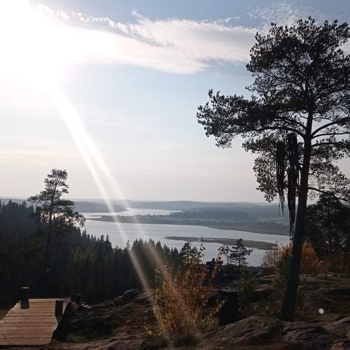 Photo #11222050