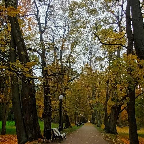 Photo #11222184