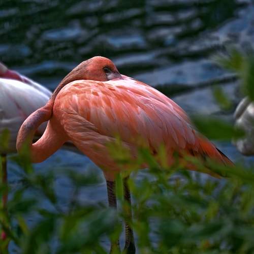 Photo #11222204