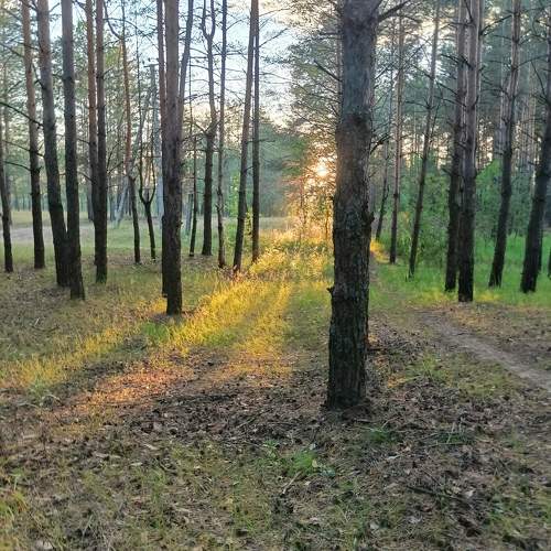 Photo #11222205