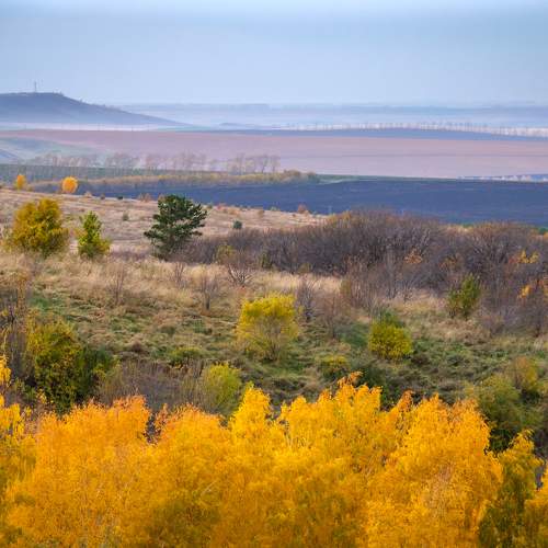 Photo #11222244