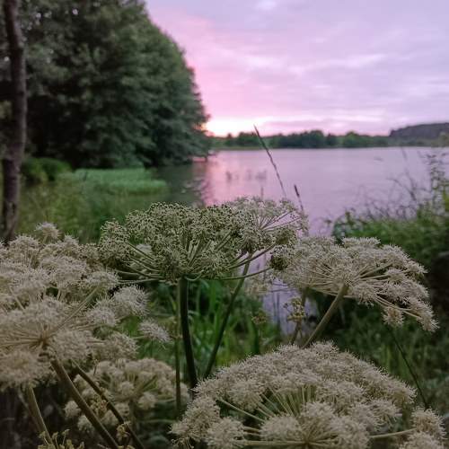 Photo #11222378