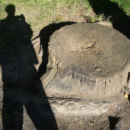 Photo #11222467