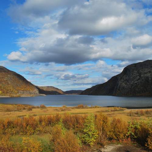 Photo #11222482