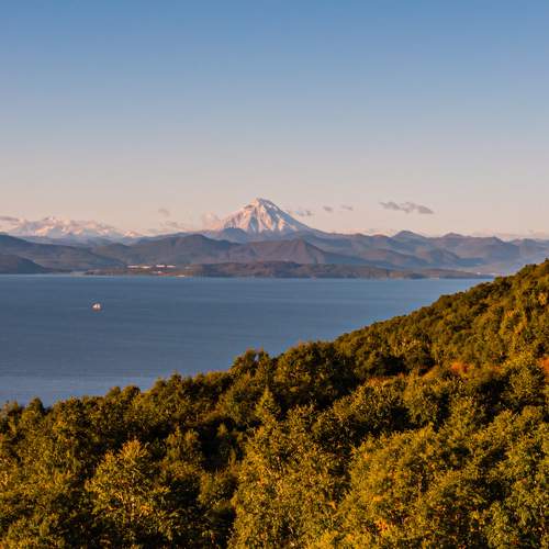 Photo #11222529