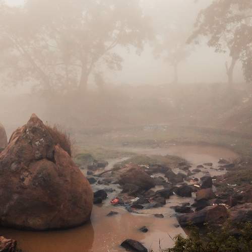 Photo #11222588