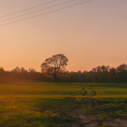 Photo #11222647