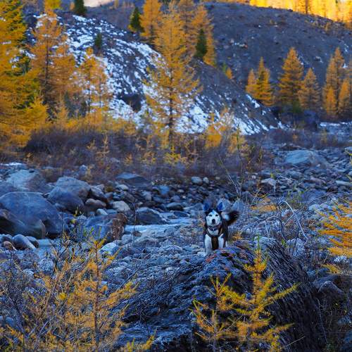 Photo #11222677